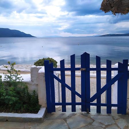 Willa Το Σπίτι Της Μαργαρίτας Στην Παραλία Nea Styra Zewnętrze zdjęcie